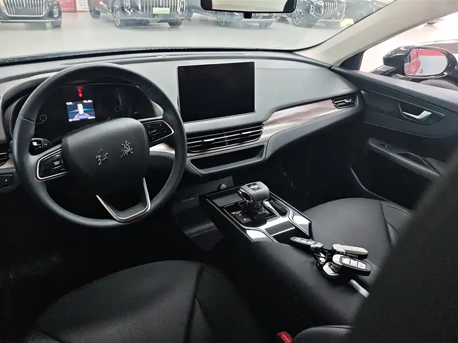 Hongqi E-QM5 2023 Facelift Basic Travel Edition фото 12