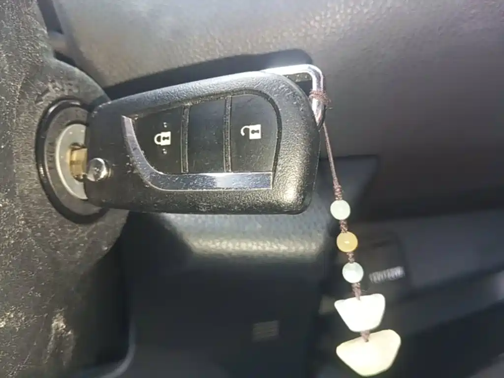 Toyota IZOA 2021 2021 2.0L Yidong Edition