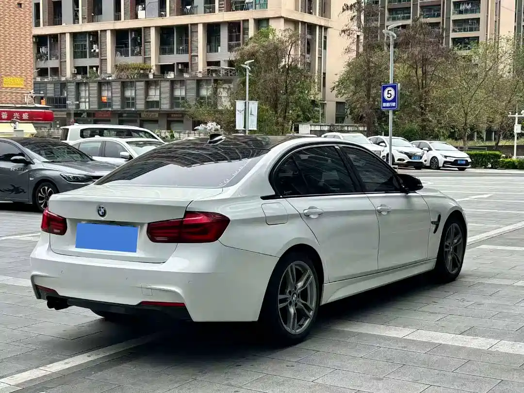 BMW 3 Series 2019 320Li M Sport Black Night Edition фото 6