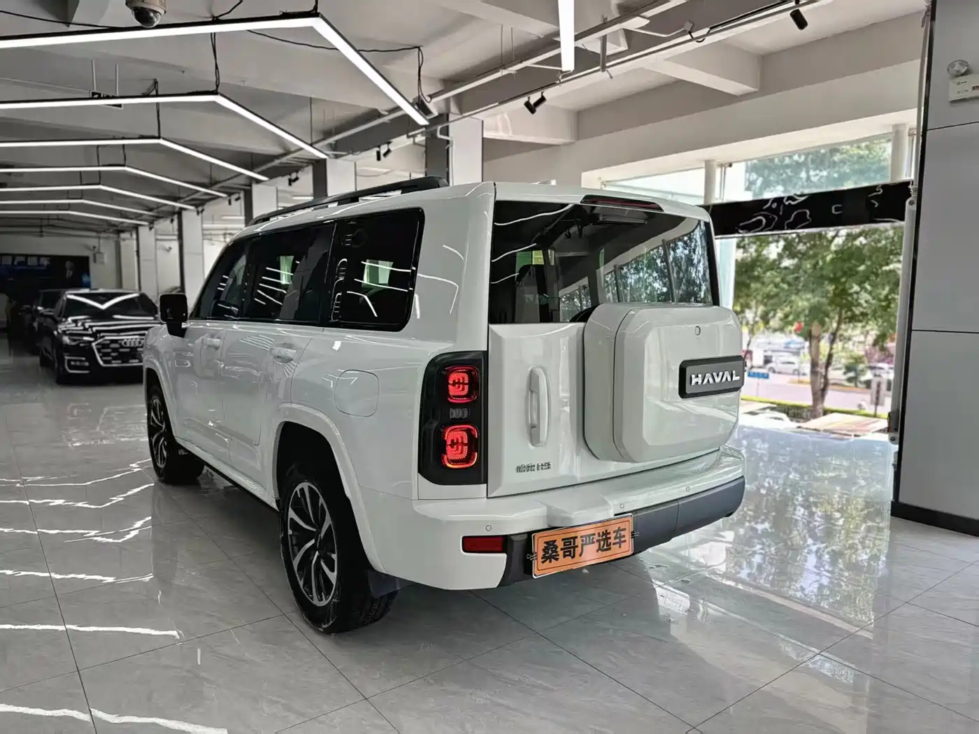 Haval H9 2025 2024 2.0T Gasoline AWD Extreme Edition