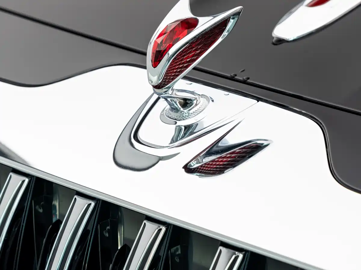 Hongqi Guoya фото 3