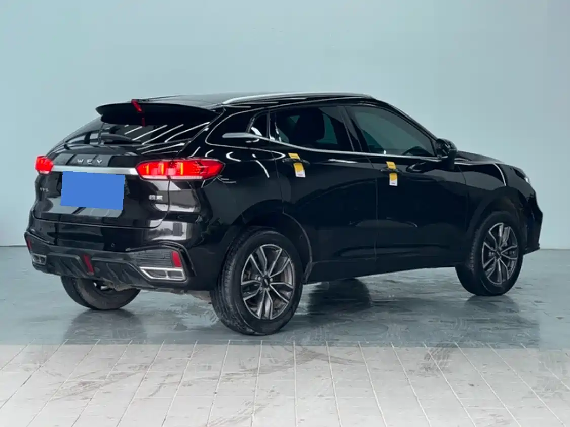 WEI PAI WEI BRAND VV5