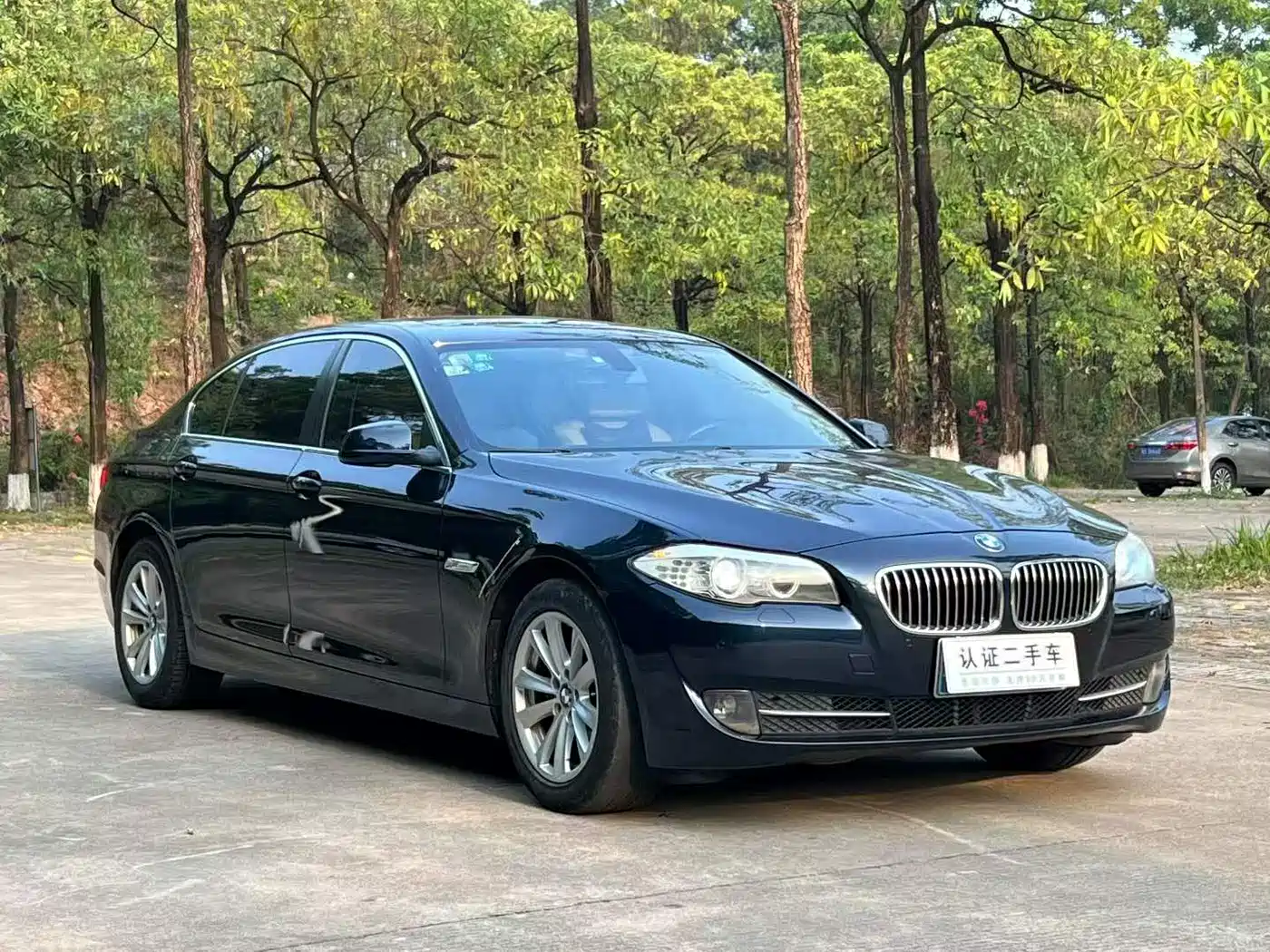 BMW 5 Series 2013 525Li Leadership фото 3