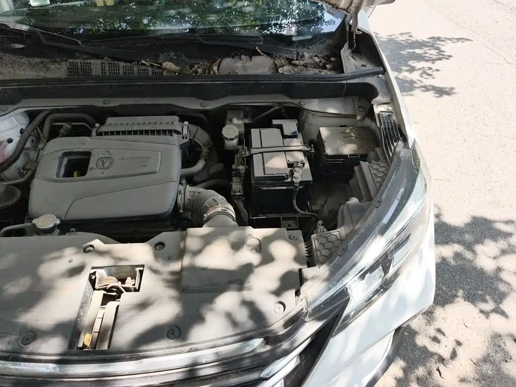Changan CS15 2019 2019 1.5L Manual Progressive China V