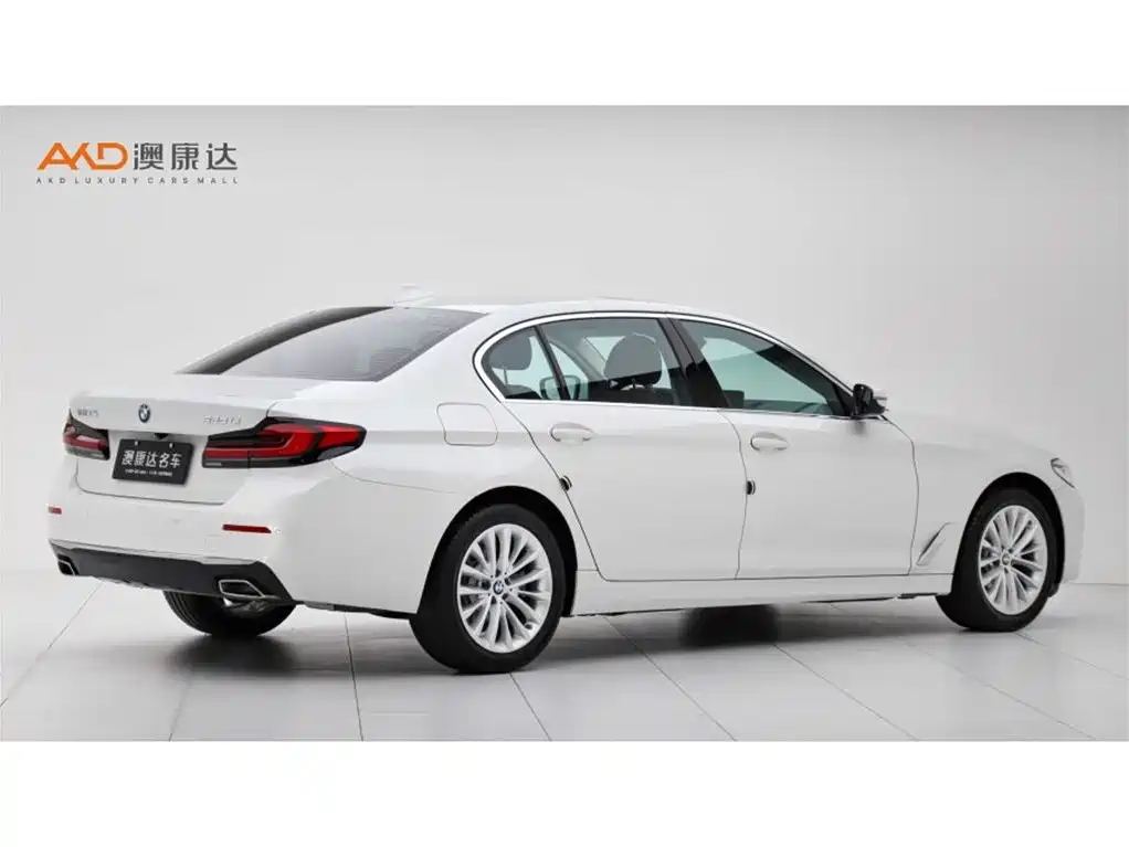 BMW 5 Series 2021 525Li Luxury Package фото 3
