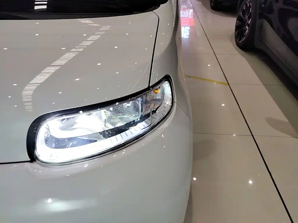 Ora White Cat 2021 2020 305km Luxury