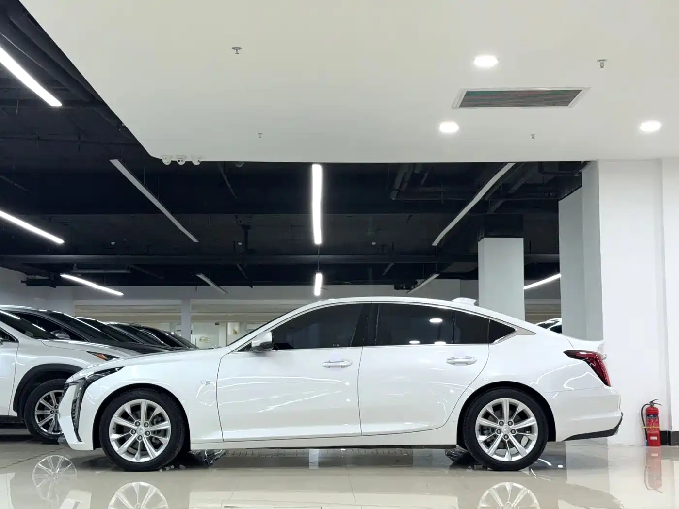 Фото 3 - Cadillac CT5