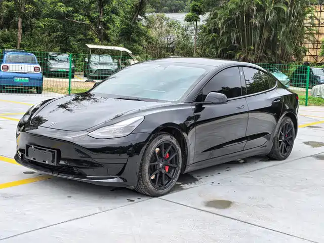 Tesla Model 3 2022 Model Rear-Wheel Drive Version