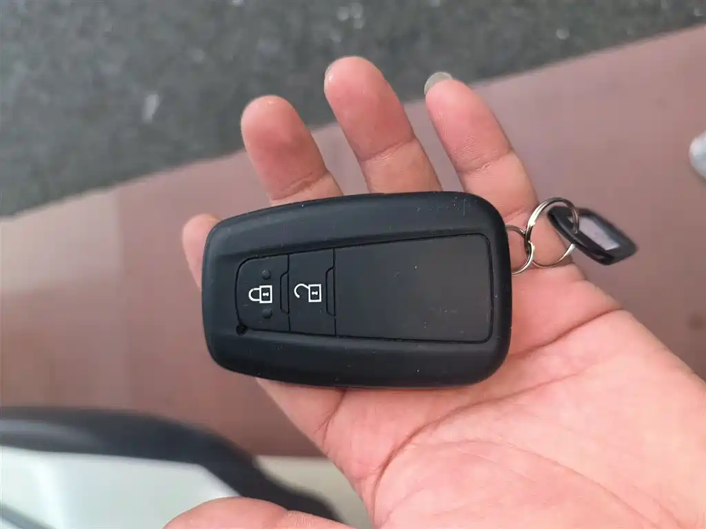 Toyota C-HR 2018 Model 2.0L Flagship Sunroof Version China V фото 17