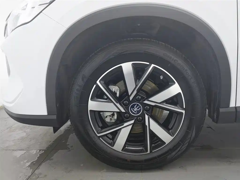 BYD SONGJIANG NEW ENERGY