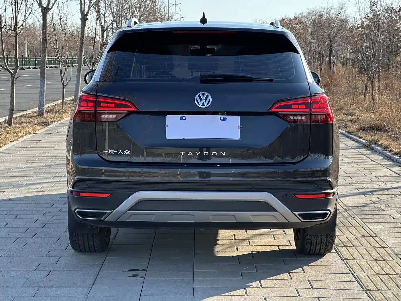 VOLKSWAGEN TANYUE
