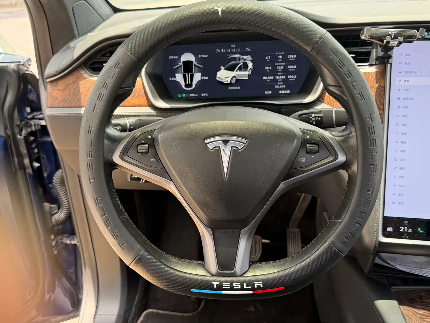 Фото 19 - Tesla Model X