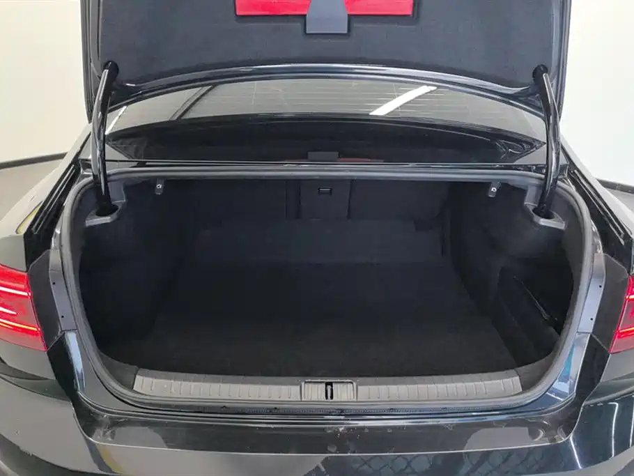 Volkswagen Magotan 2020 280TSI DSG Leading фото 4