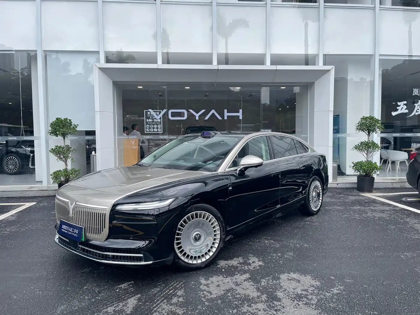 Voyah Auto VOYAH Zhuiguang L 2025 Mid-configuration Model