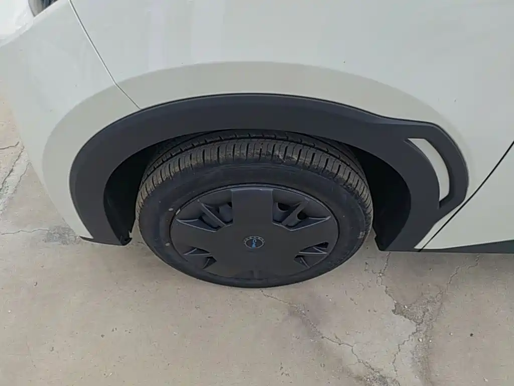 BYD Seagull 2026 2025 Smart Drive Edition 305km Vitality Version