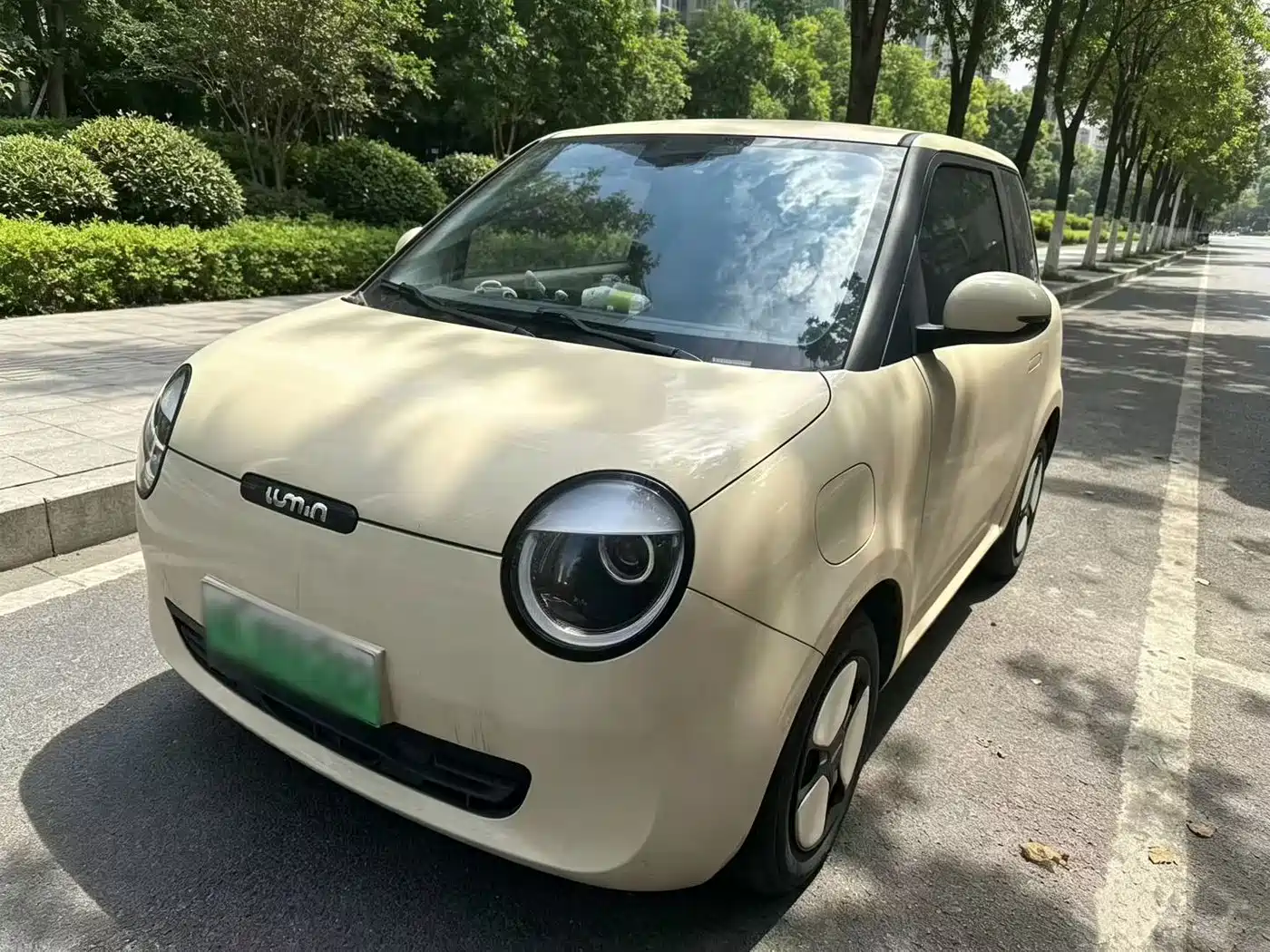 Changan Qiyuan Changan Lumin 2022 301km Honey Sweet