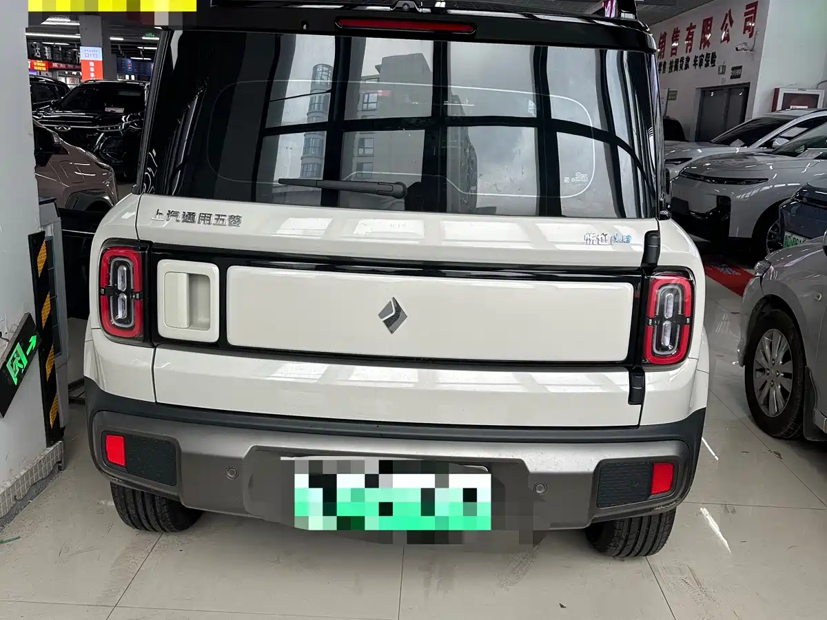 Baojun Yueye Plus 2025 2026 301km Flagship
