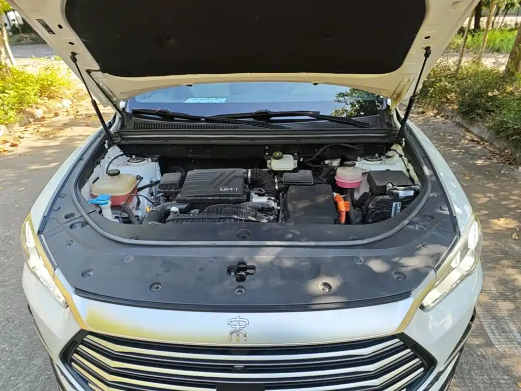  BYD Song Pro New Energy 2022 DM-i 110km Flagship Pro 20
