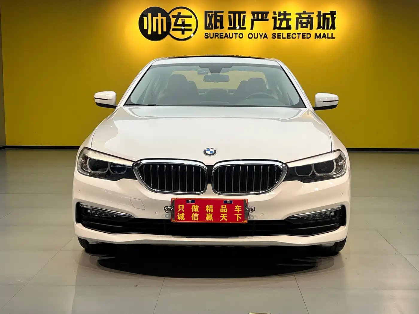 BMW 5 Series 2018 528Li Launch Special Edition фото 2