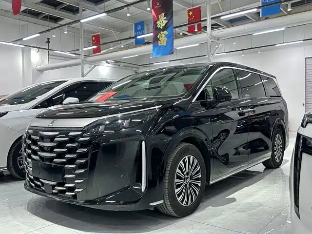  BYD Xia 2025 DM-i 1.5T 180km Excellence