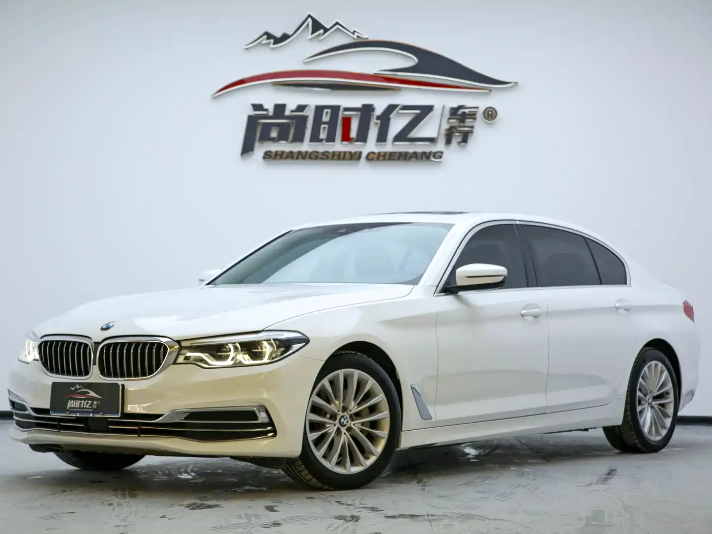 BMW 5 Series 2020 530Li Leading Luxury Package фото 2