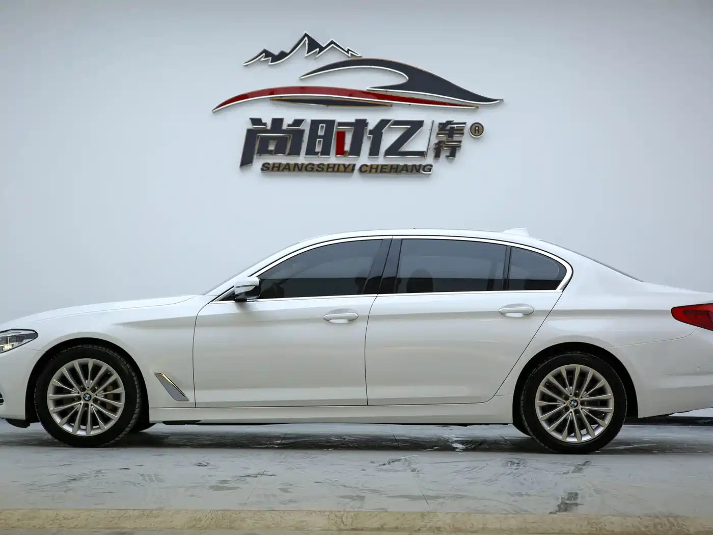 BMW 5 Series 2020 530Li Leading Luxury Package фото 6