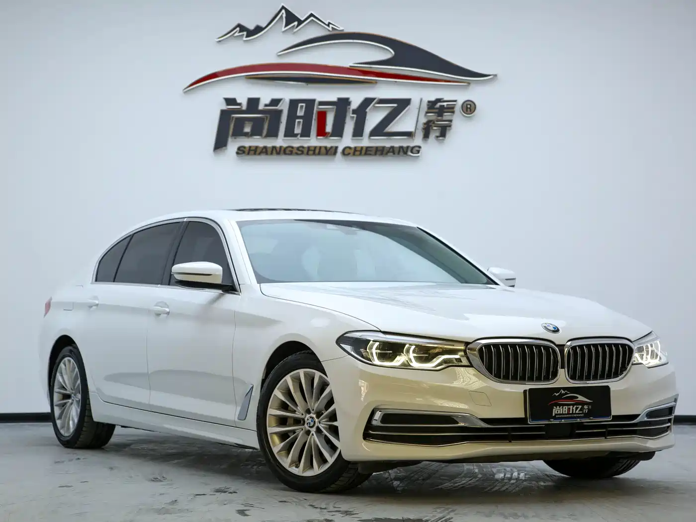 BMW 5 Series 2020 530Li Leading Luxury Package фото 4