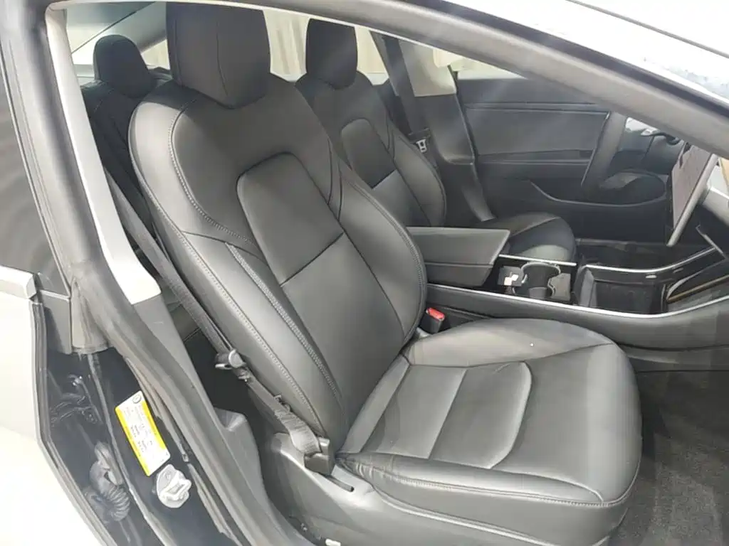 Tesla Model 3 2020 2019 Standard Range Rear-Wheel Drive Upgrade
