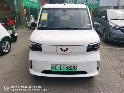Wuling Sunshine