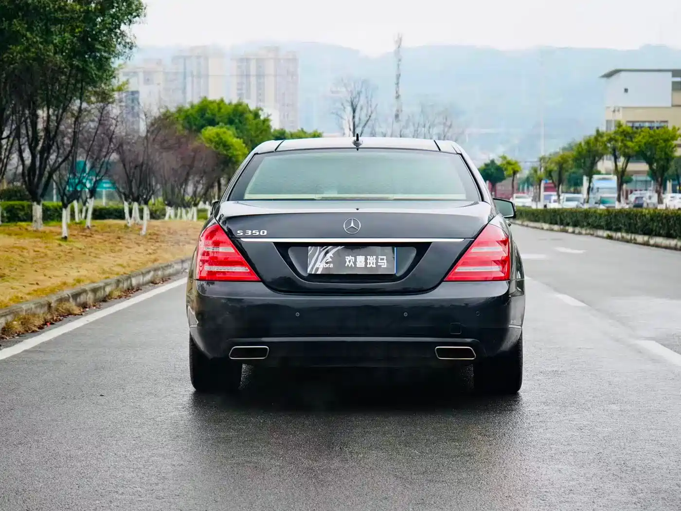 Mercedes-Benz S-Class 2010 S 300 L Premium фото 4