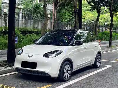 Wuling Bingo