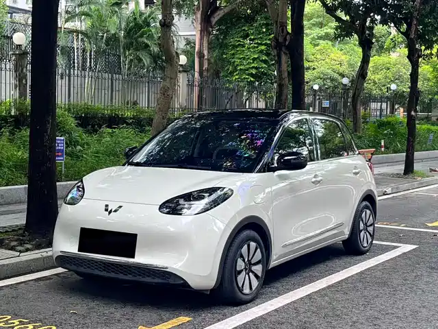 Wuling Bingo 333km, коннект