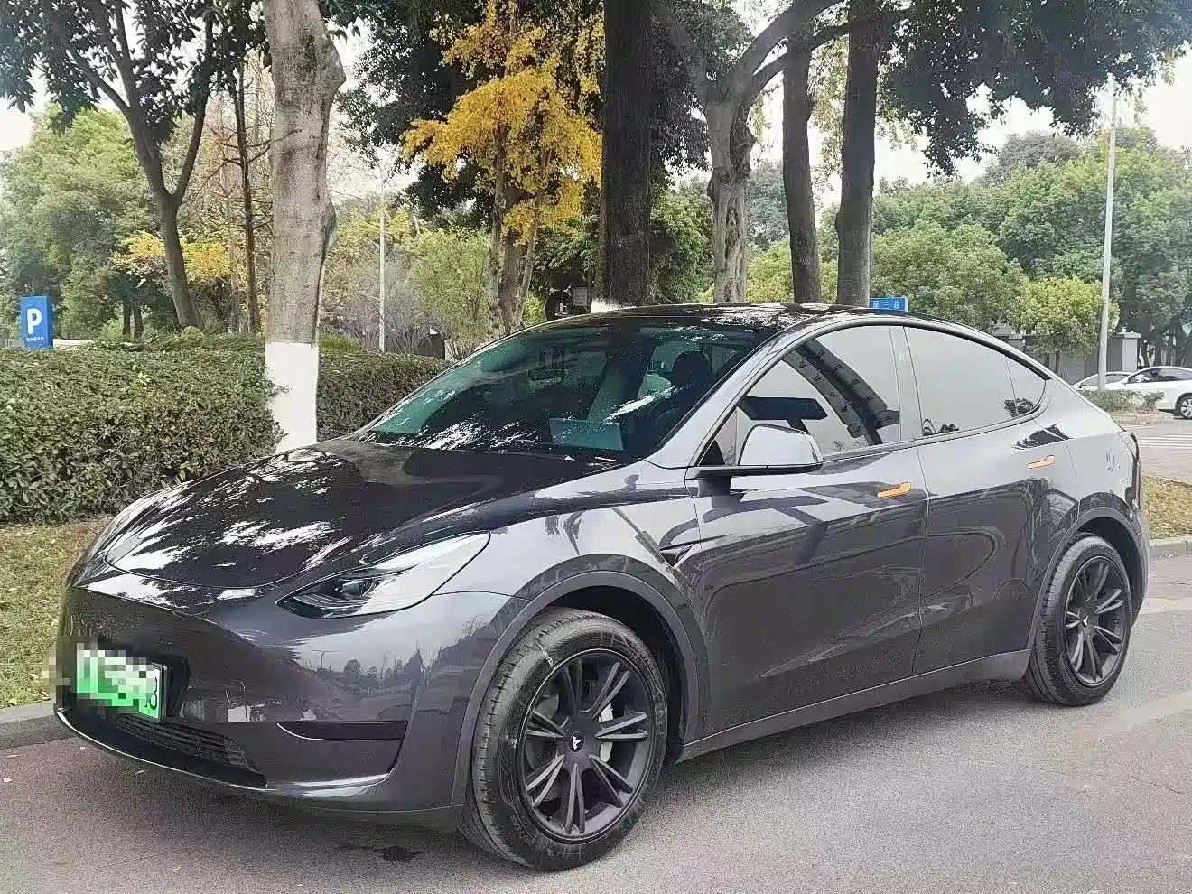 TESLA MODEL Y
