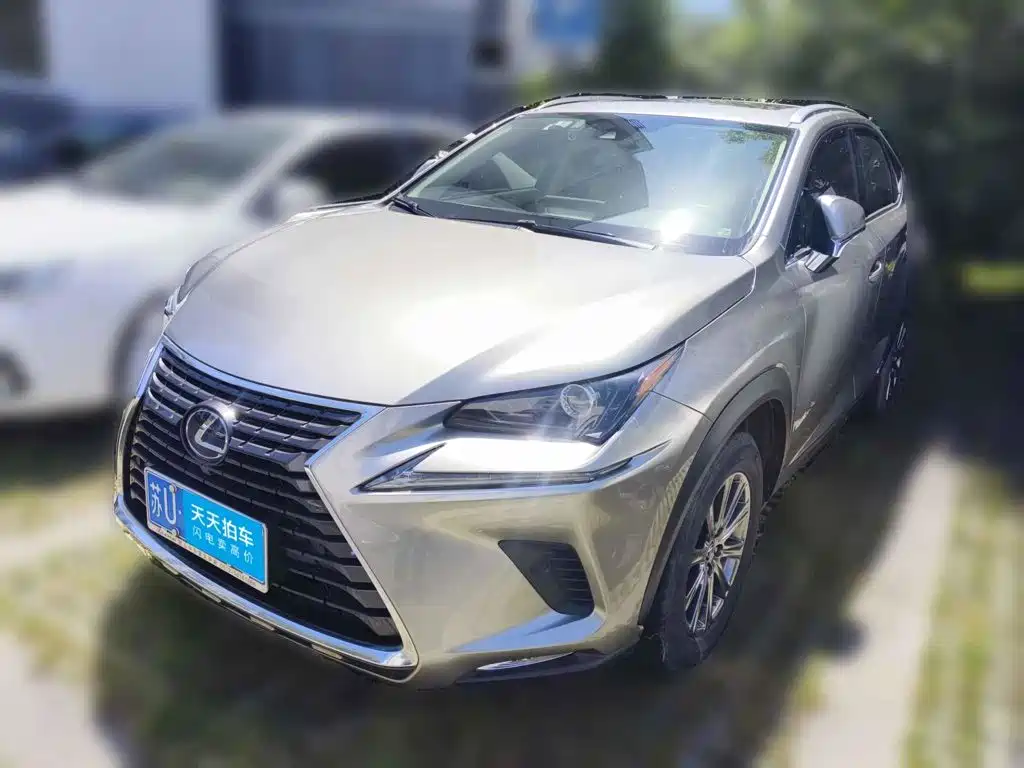 Lexus NX 2020 300h FWD F Sport China VI