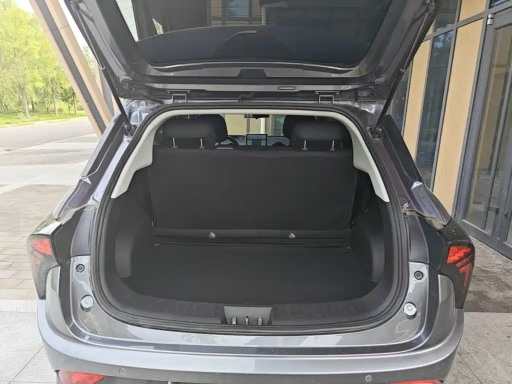 Nezha Auto Nezha V 2022 2021 Standard Range Entertainment Upgrade