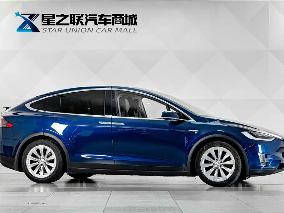Фото 5 - Tesla Model X
