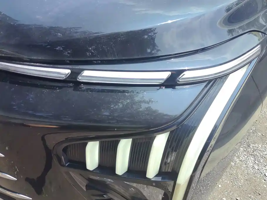 2024 Dongfeng Fengxing Starlight V9