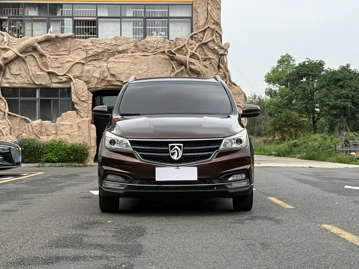 BAOJUN 730