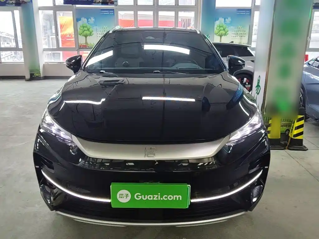 صورة 3 - BYD Tang New Energy
