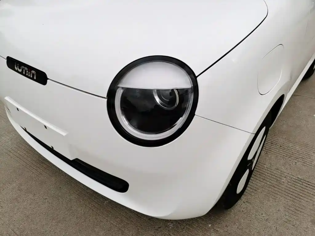 Changan Lumin 2025 2025 205km Fragrant Infusion Edition