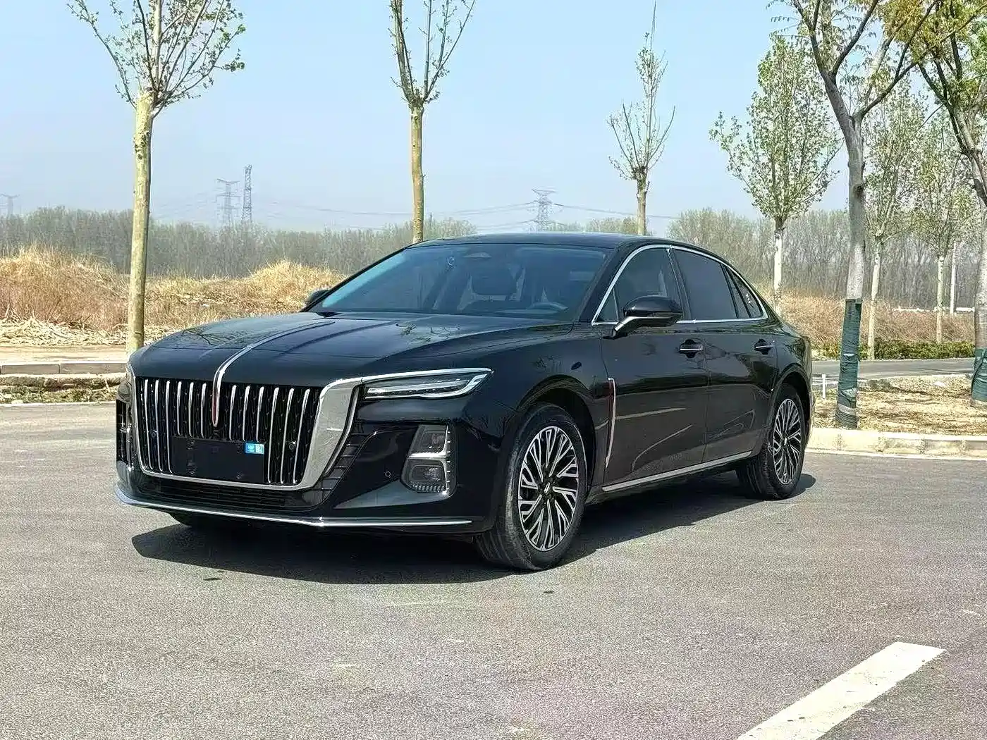 Hongqi H5 2023 2.0T Auto Smart Connect Flag Comfort