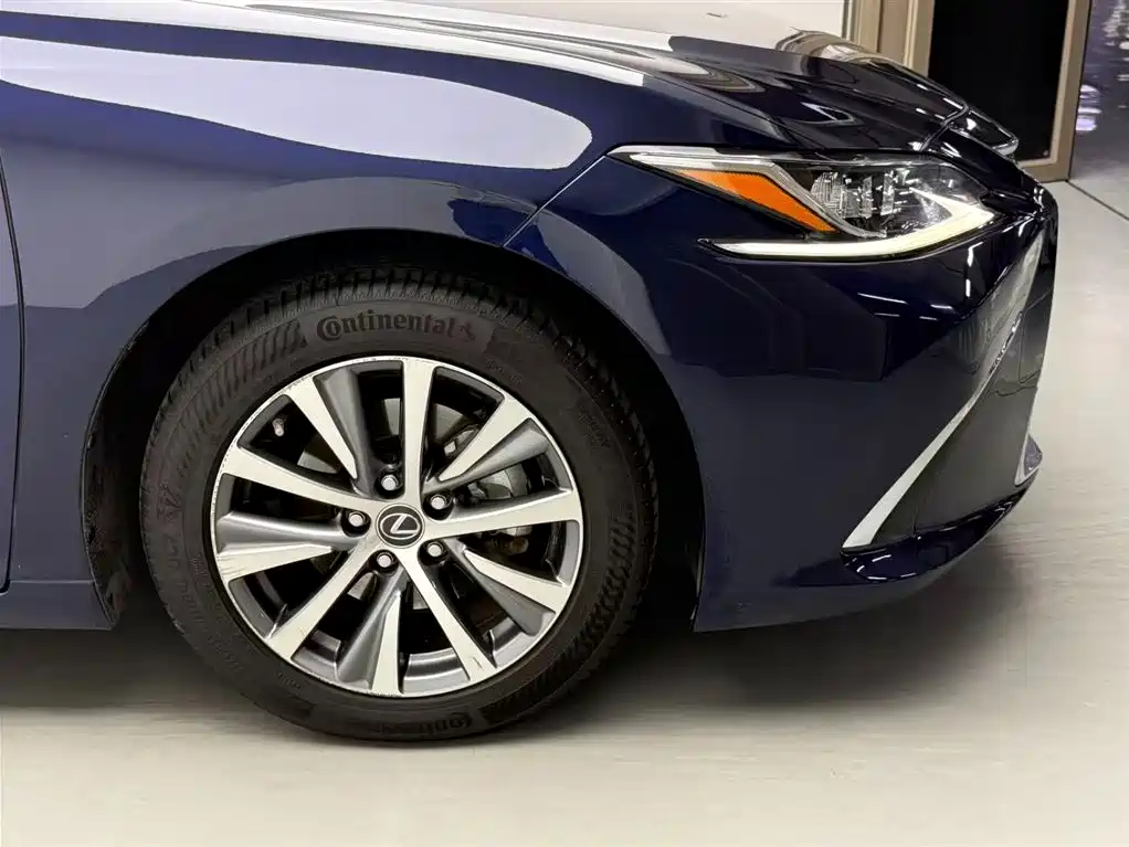 Lexus ES 2018 300h Excellence Edition China V фото 14