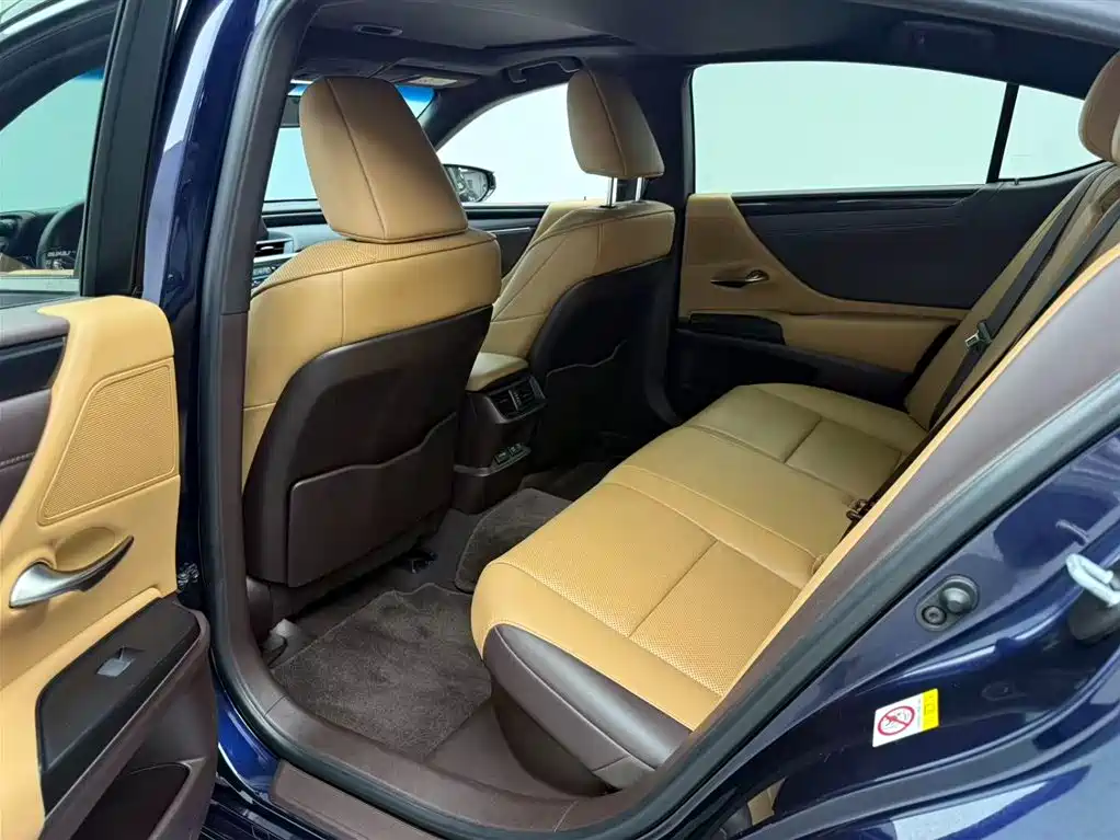 Lexus ES 2018 300h Excellence Edition China V фото 8