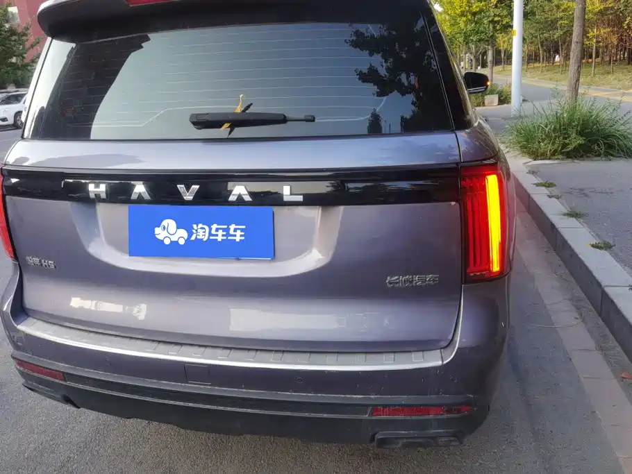 Haval H5 2024 2023 2.0T Automatic 4WD Leading Edition Diesel