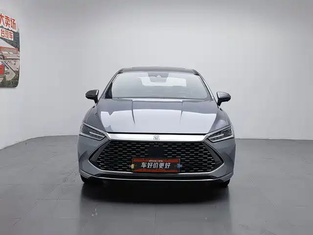BYD Qin PLUS 2023 Champion Edition DM-i 120KM Excellence — фото 3
