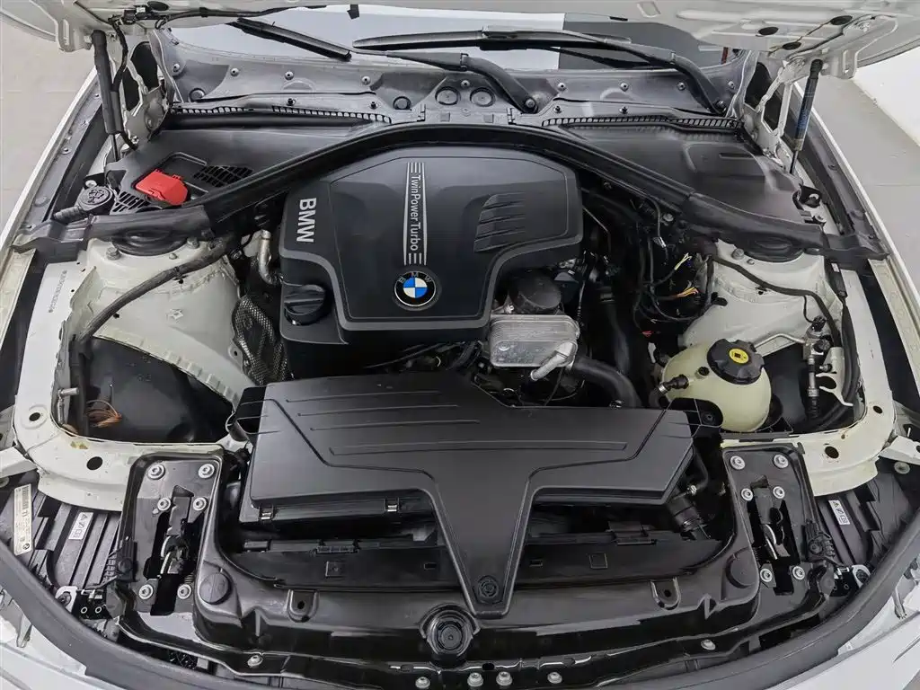 BMW 3 Series 2014 320Li Luxury Design Package фото 6