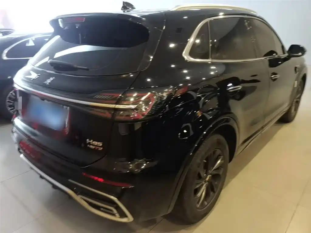 Hongqi HS5 2023 2.0T Flag Enjoy Pro Edition фото 7