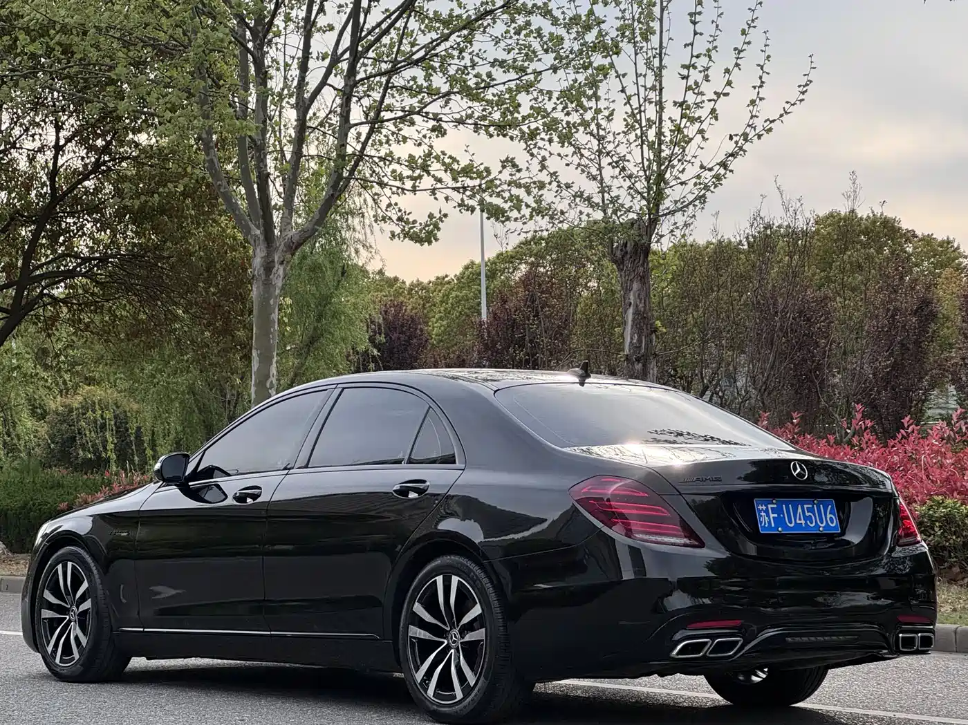 Mercedes-Benz S-Class 2016 S 320 L Luxury фото 4