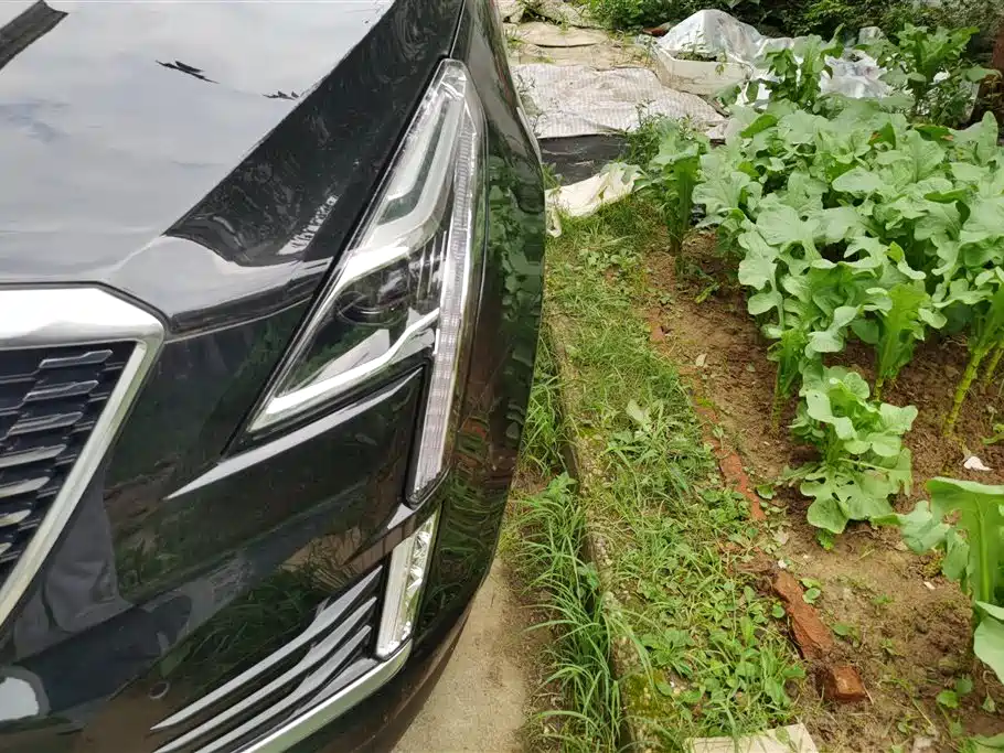 Cadillac XT5 2023 2.0T 2WD Fashion Edition фото 5