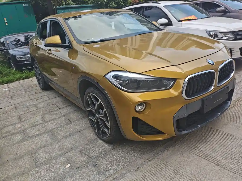 BMW X2 (Import) 2018 sDrive25i Exclusive M Off-Road Package China V фото 4